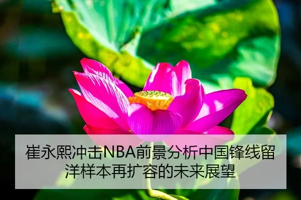 崔永熙冲击NBA前景分析中国锋线留洋样本再扩容的未来展望