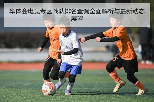 华体会电竞专区战队排名查询全面解析与最新动态展望